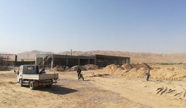 揚帆海外志不渝