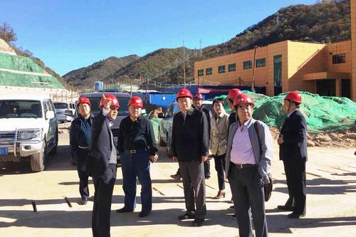 寧興剛、王寧一行深入冶坪項目調研指導工作